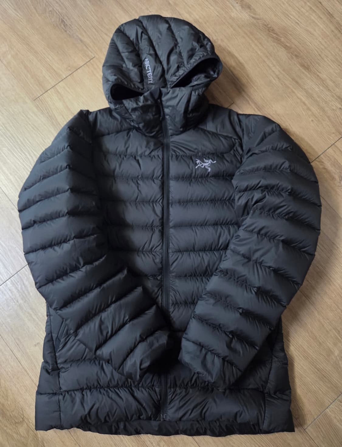 아크테릭스 세륨 후디 블랙 m 상품이미지3