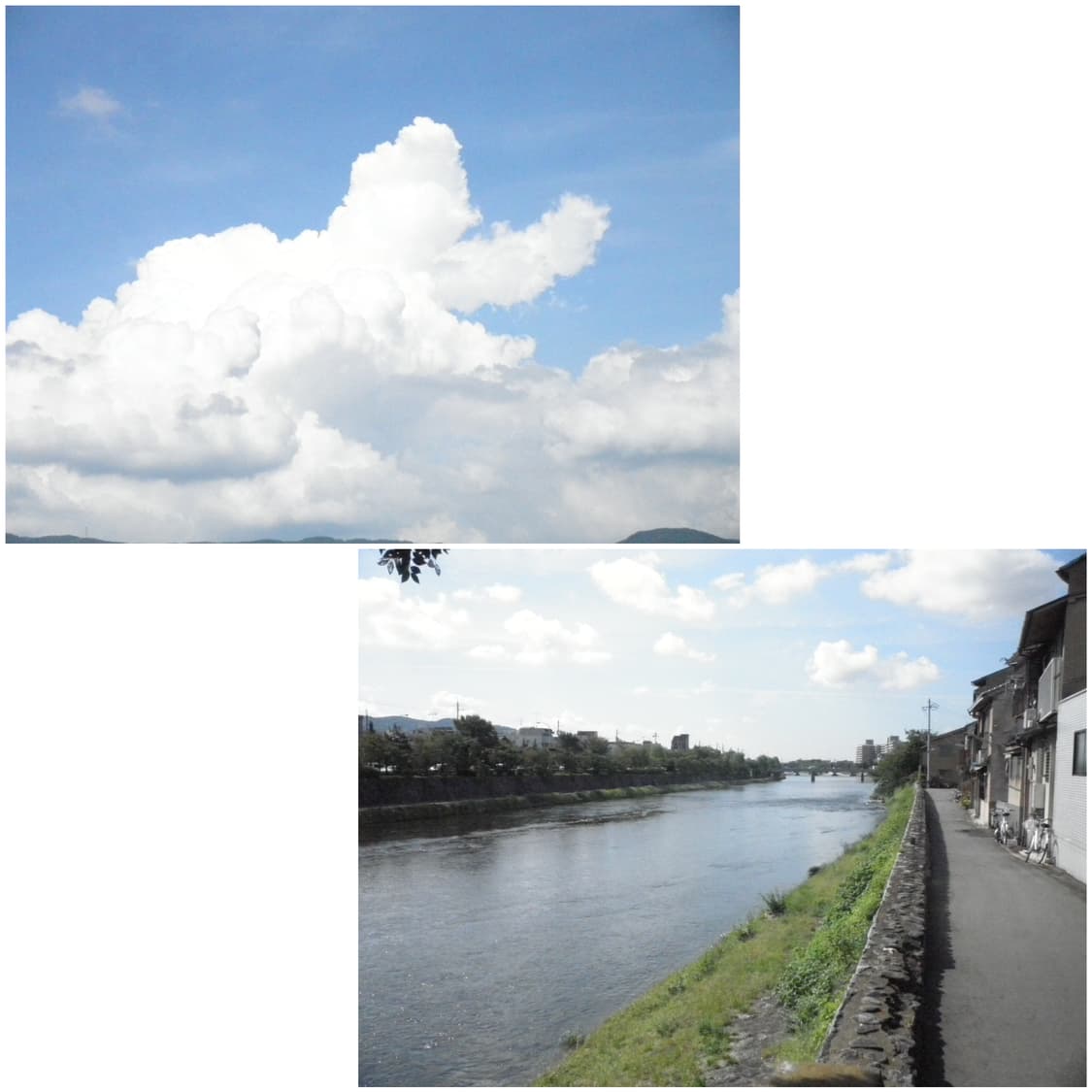 올림푸스 뮤 7050 베이비핑크 빈티지디카 상품이미지2