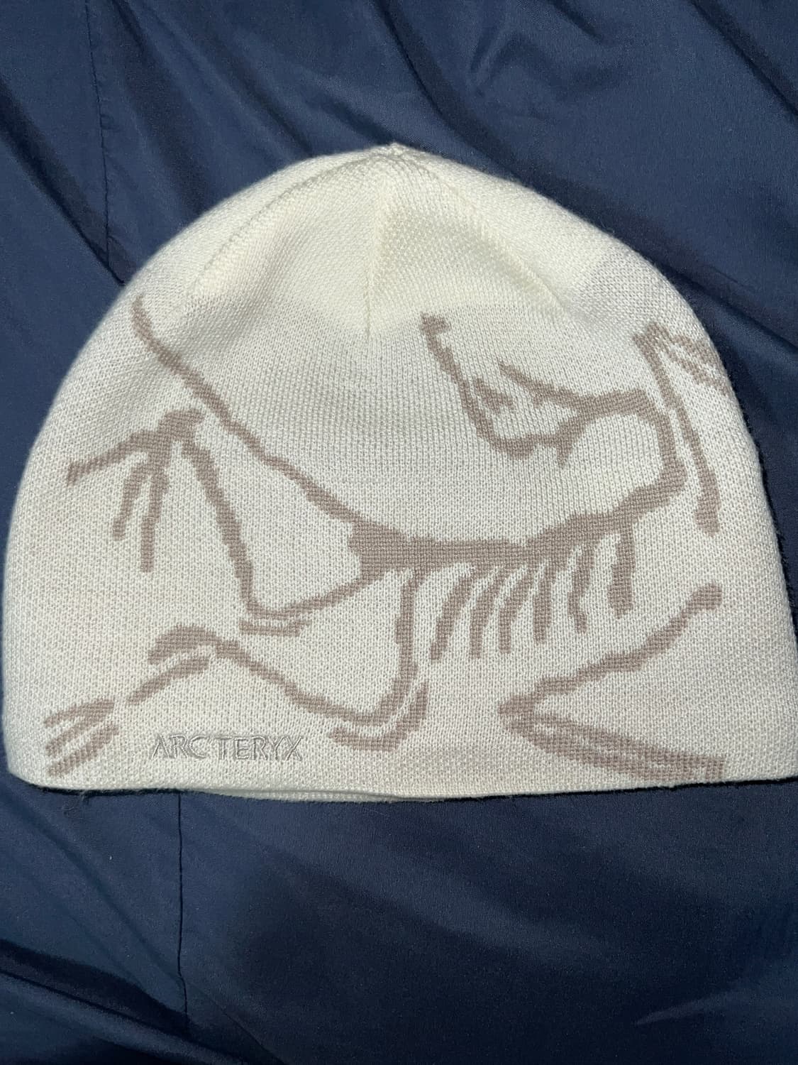 아크테릭스 비니 상품이미지1