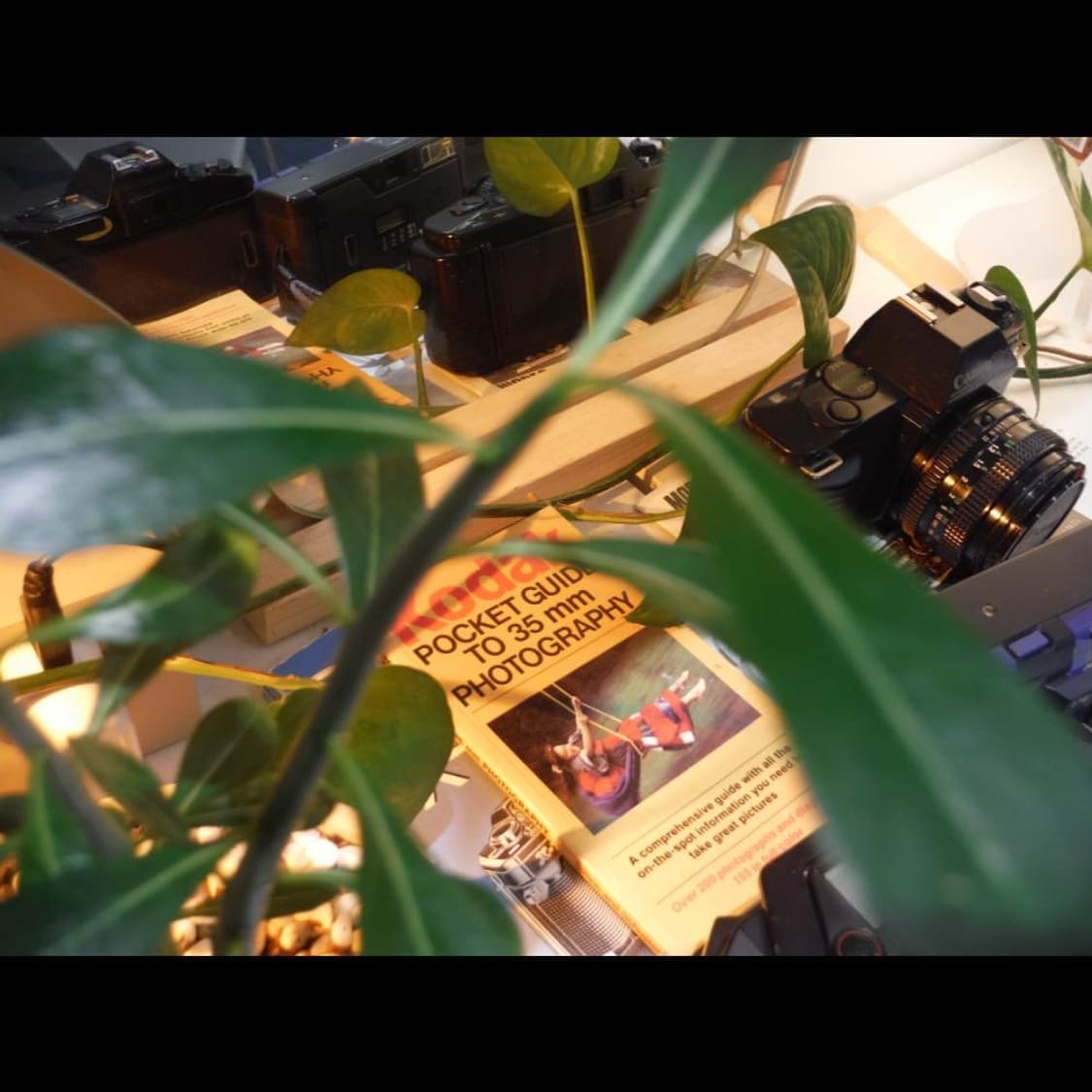 후지필름 후지 XP70  케이스 선셋 오렌지  빈티지 디카 디지털카메라 상품이미지8