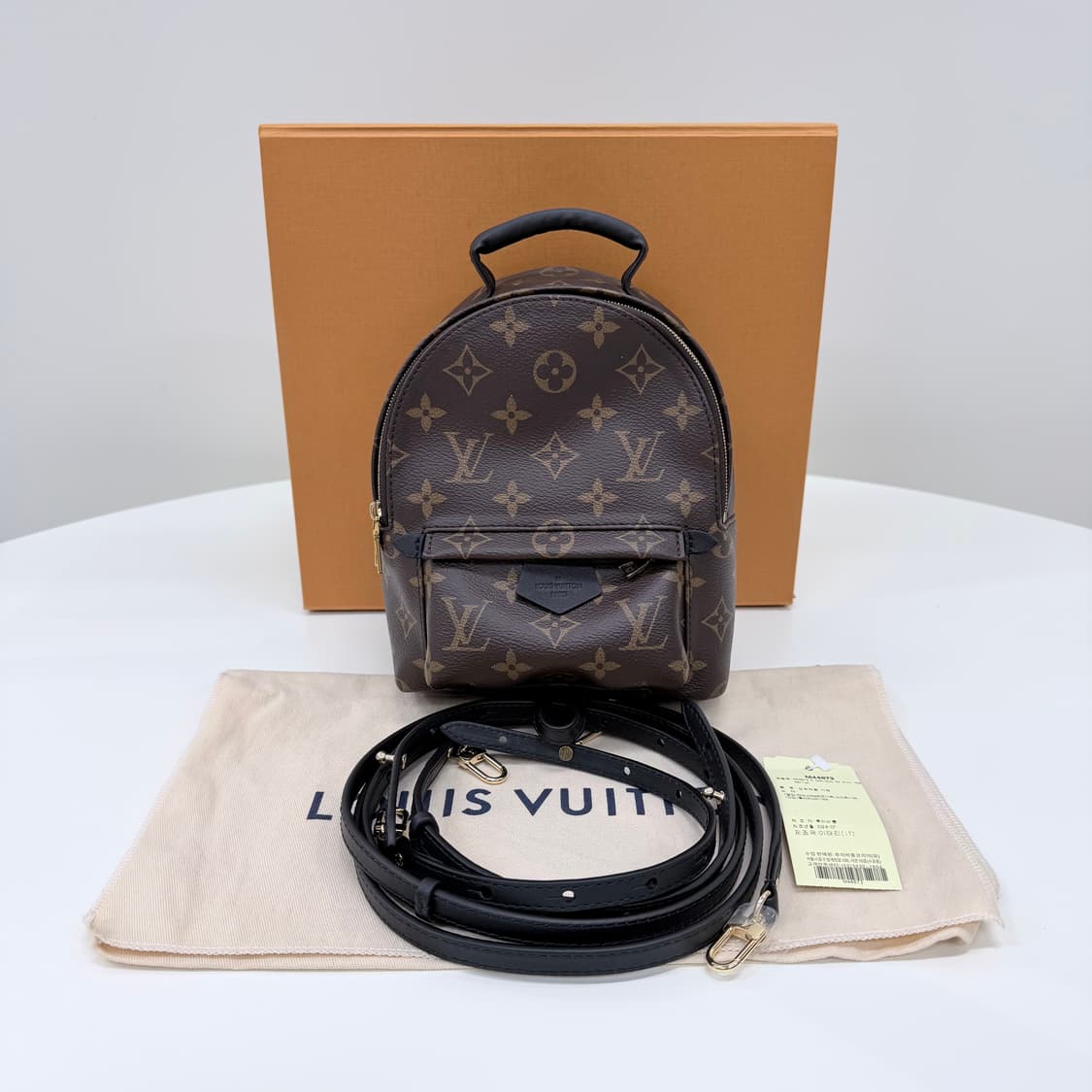 [새상품/선물가능] 루이비통 팜 스프링스 미니 백팩 상품이미지1