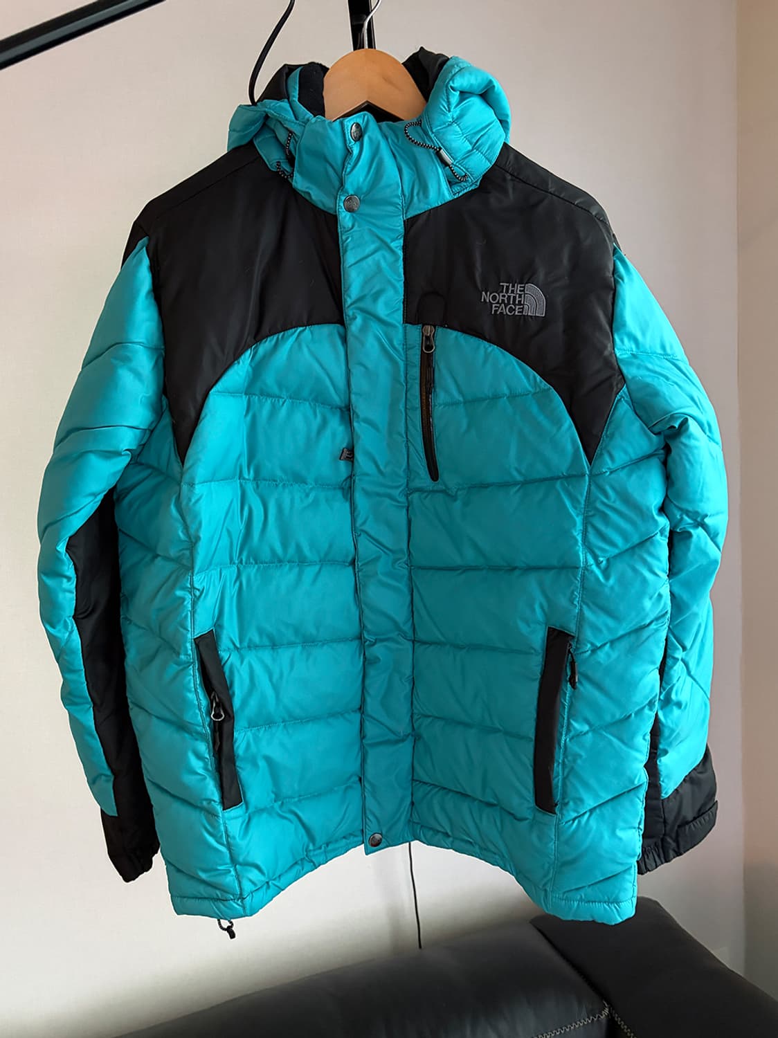 노스페이스 써밍 900 윈드스토퍼 패딩 (해외 L)  상품이미지1