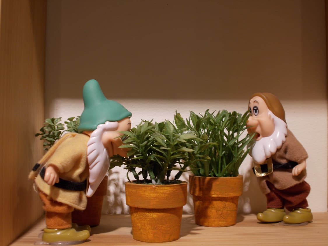 니콘 쿨픽스 COOLPIX L26 (작례 o) 상품이미지8