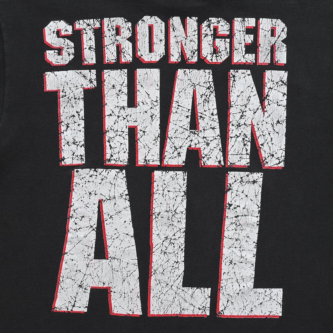 90s Pantera 판테라 빈티지 티셔츠 상품이미지4