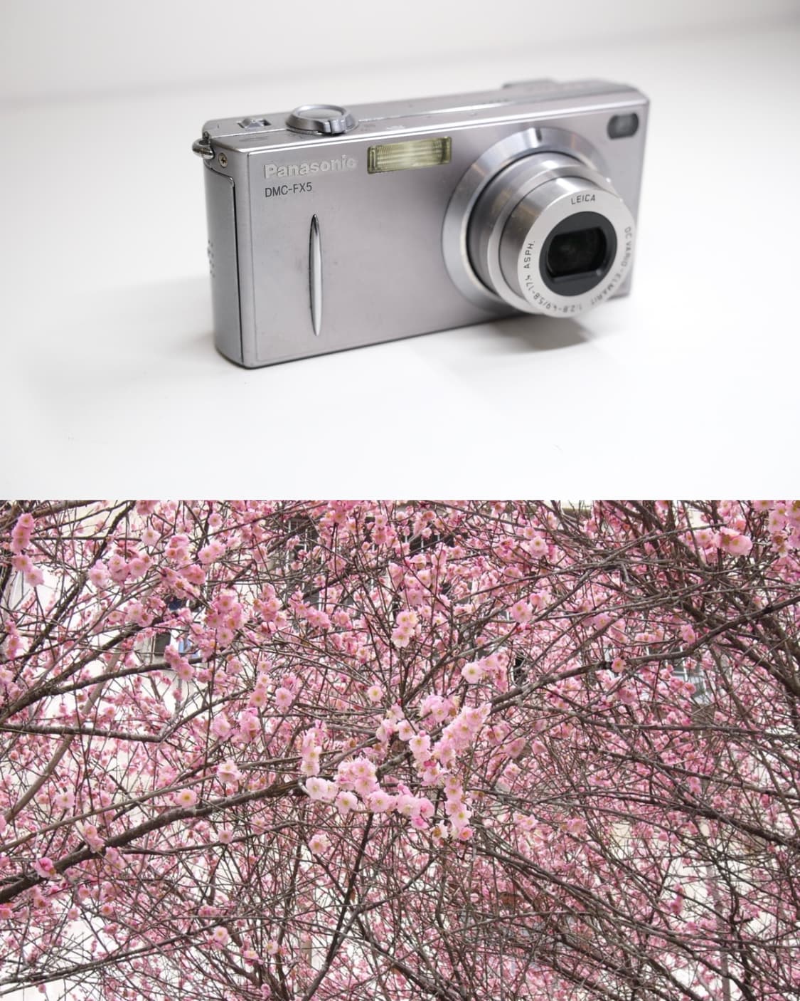 Panasonic DMC-FX5 상품이미지3