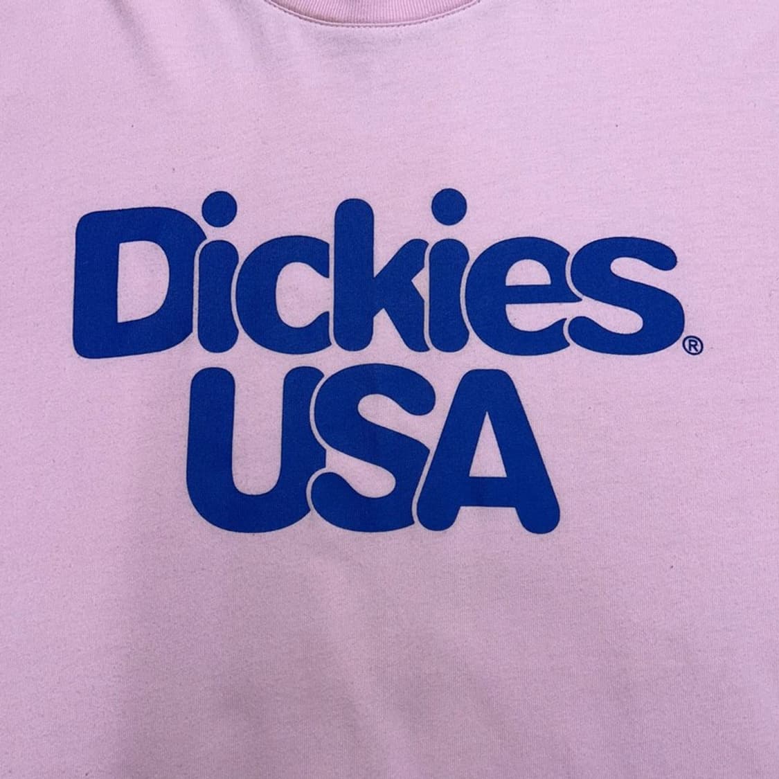 DICKIES 핑크+블루 레이어드 반팔 L 상품이미지2