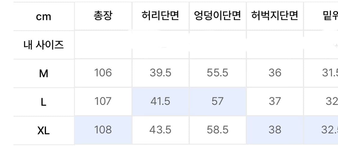 르아르 커브드 비조 워싱 팬츠 (스트라이프) 상품이미지4