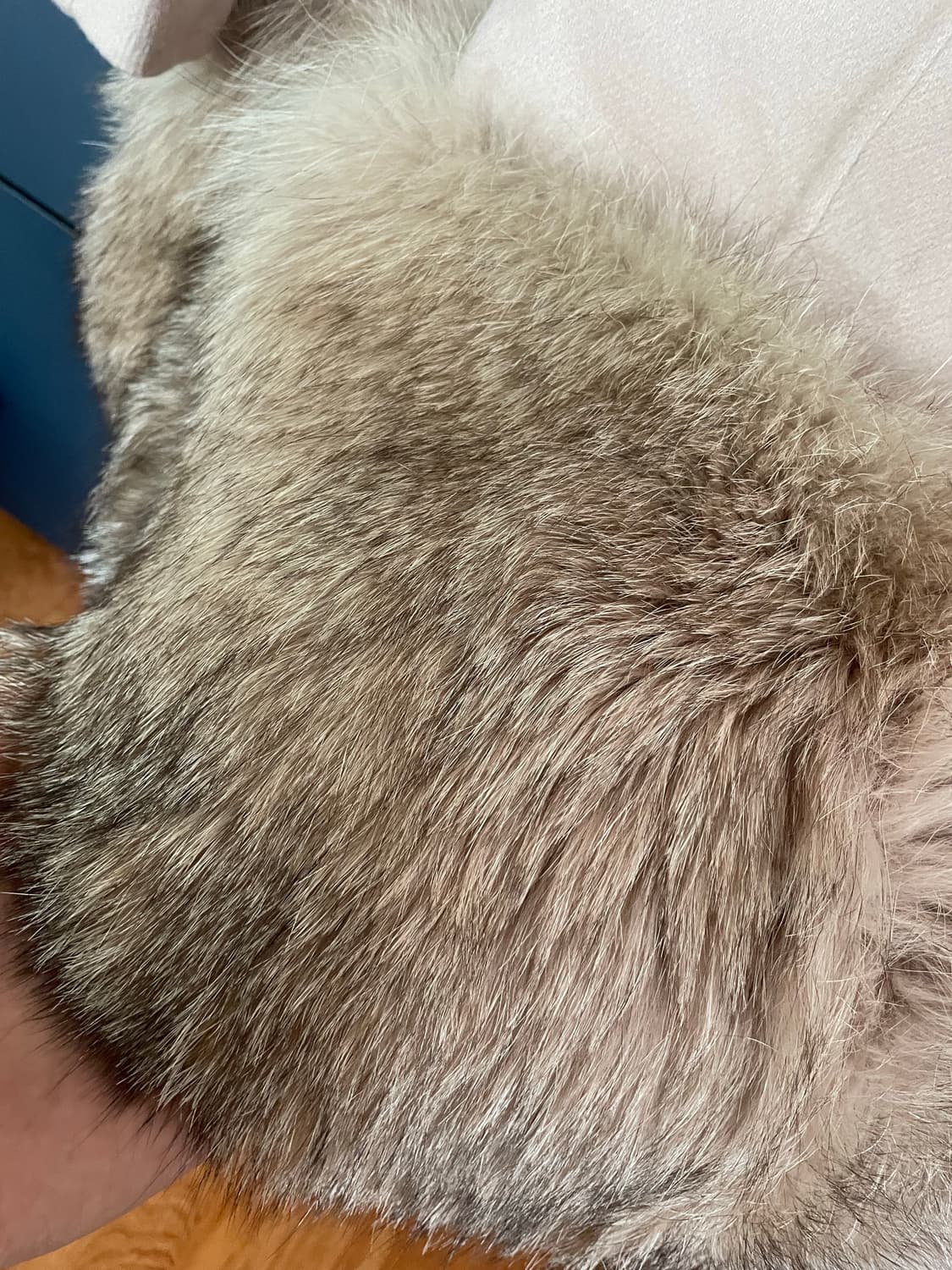 ermmano scervino 양모100 실버폭스 자켓 상품이미지5