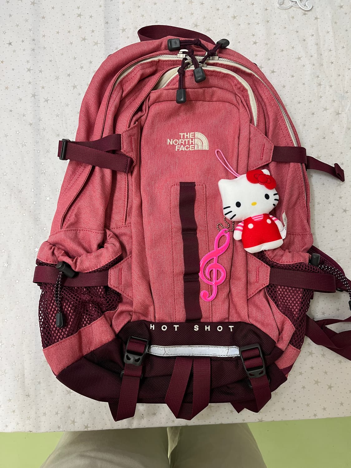 노스페이스 HOT SHOT 핑크 백팩 🎀 상품이미지6