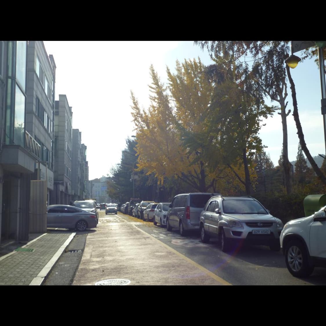 파나소닉 DSC-S1  파스텔 블루 소프트💎 빈티지 디카 디지털카메라 상품이미지5