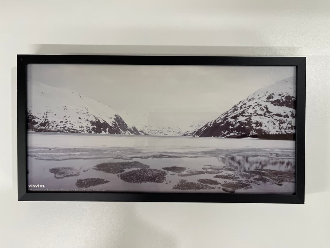 비즈빔 2007-08fw 아트 포토 visvim 상품이미지1