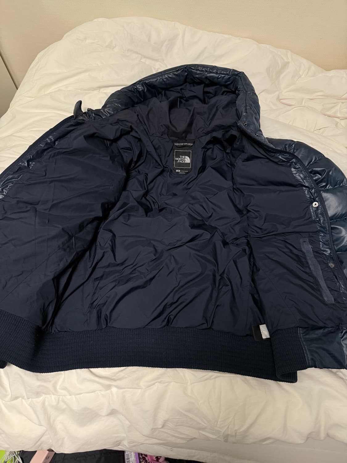 여L) 노스페이스 후드 패딩 펄 블루 구스다운 550 상품이미지2