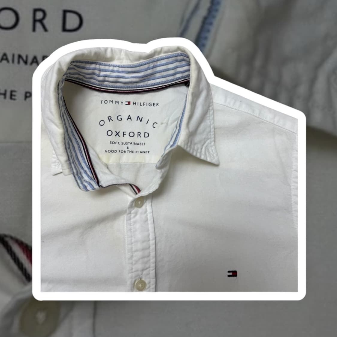 타미힐피거 셔츠 상품이미지2