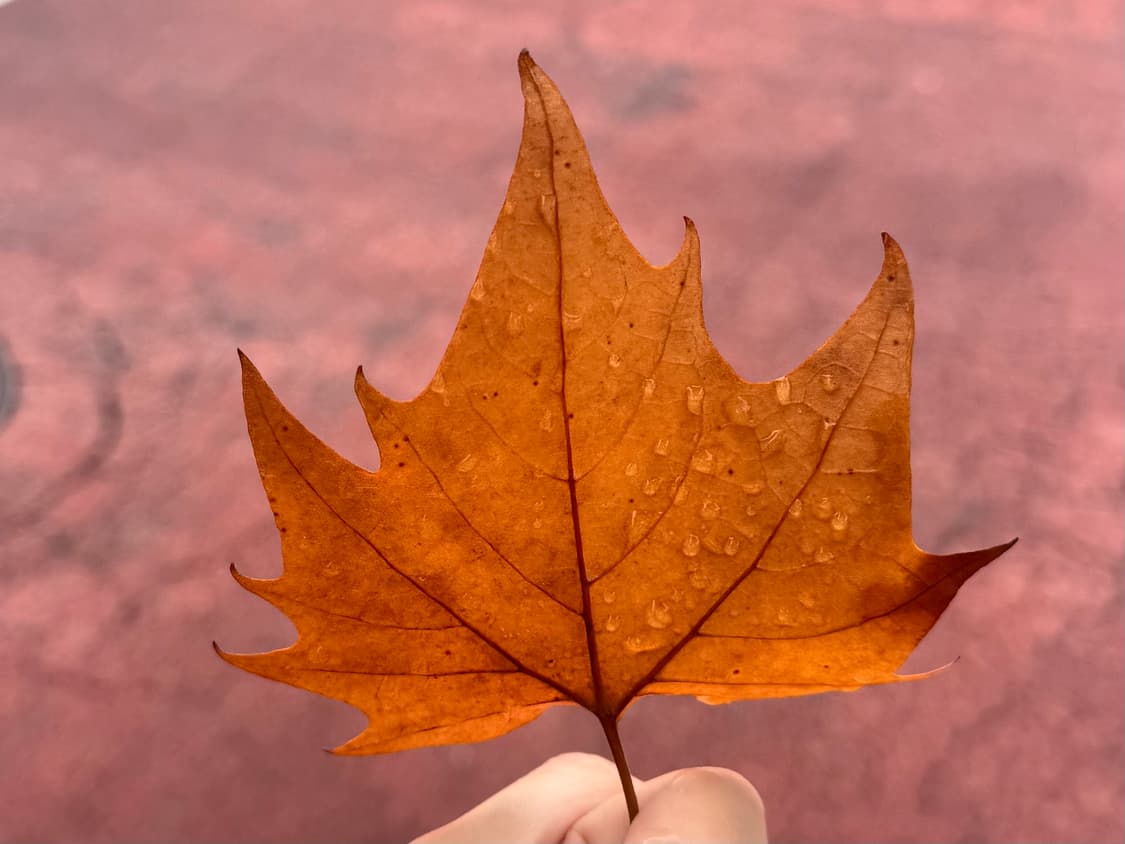 소니 사이버샷 dsc w730 상품이미지6