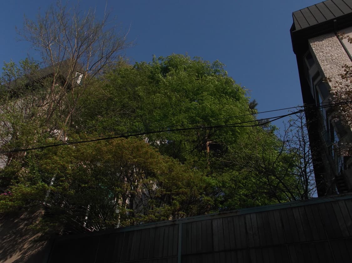 작례o)후지 파인픽스 Fujifilm FinePix JX420 빈티지디카 상품이미지10