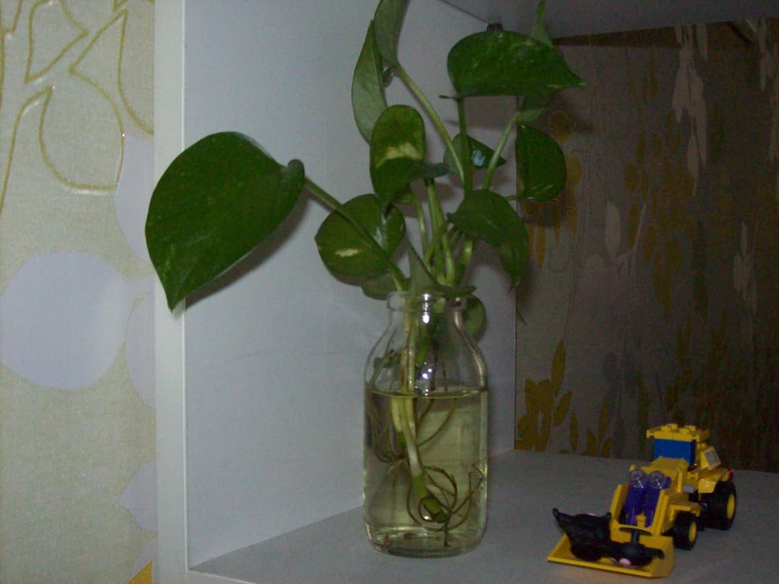 코닥 이지쉐어 c613 블랙 상품이미지3