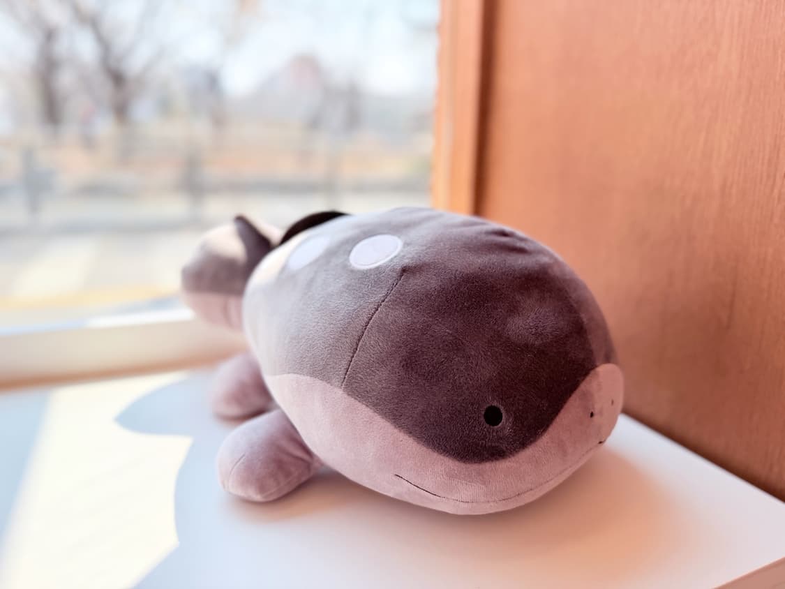 일본 반다이 반프레스토 정품 포켓몬 토오 봉제인형 41cm 상품이미지2