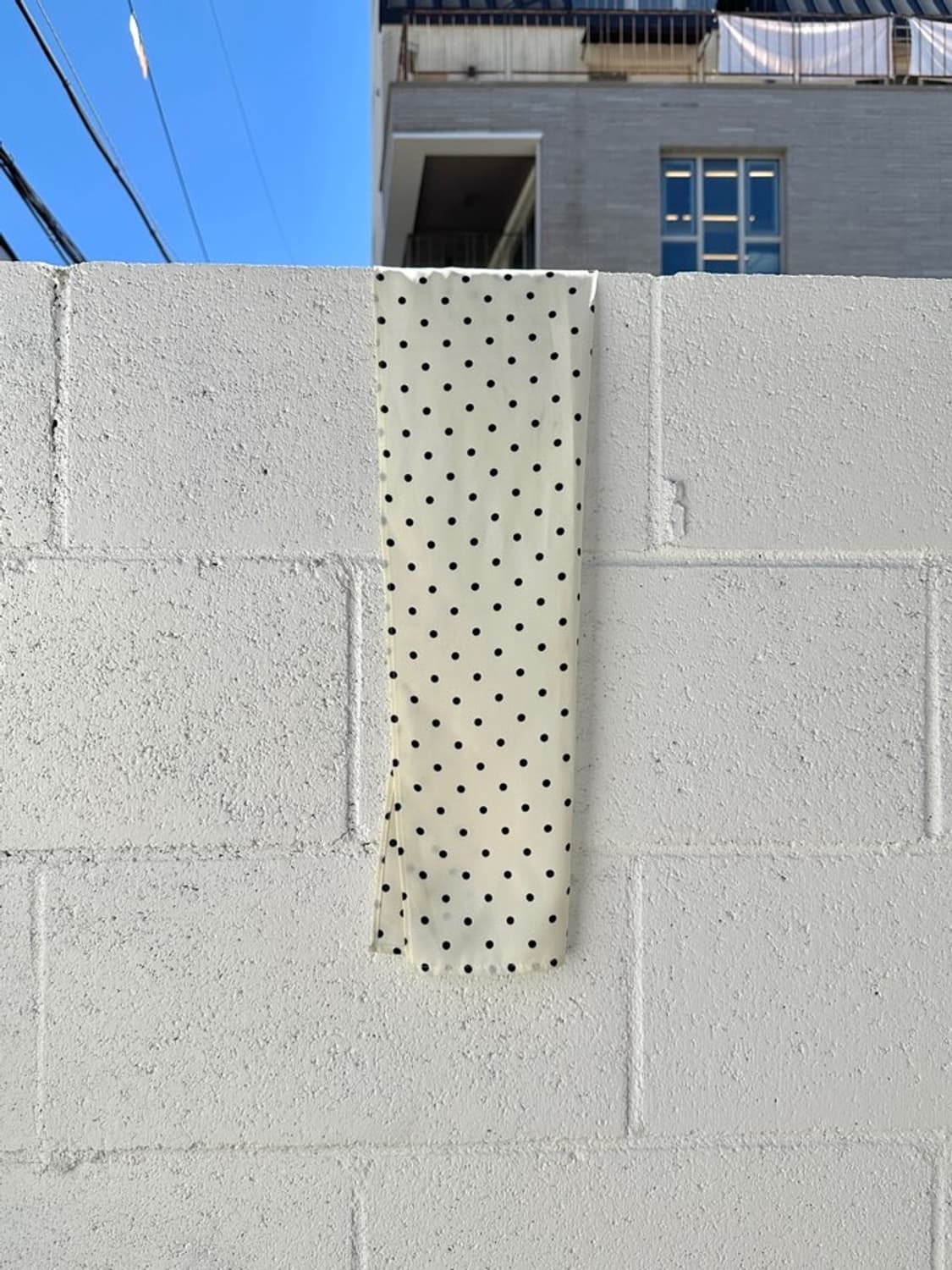Mini dot scarf / ivory 상품이미지1