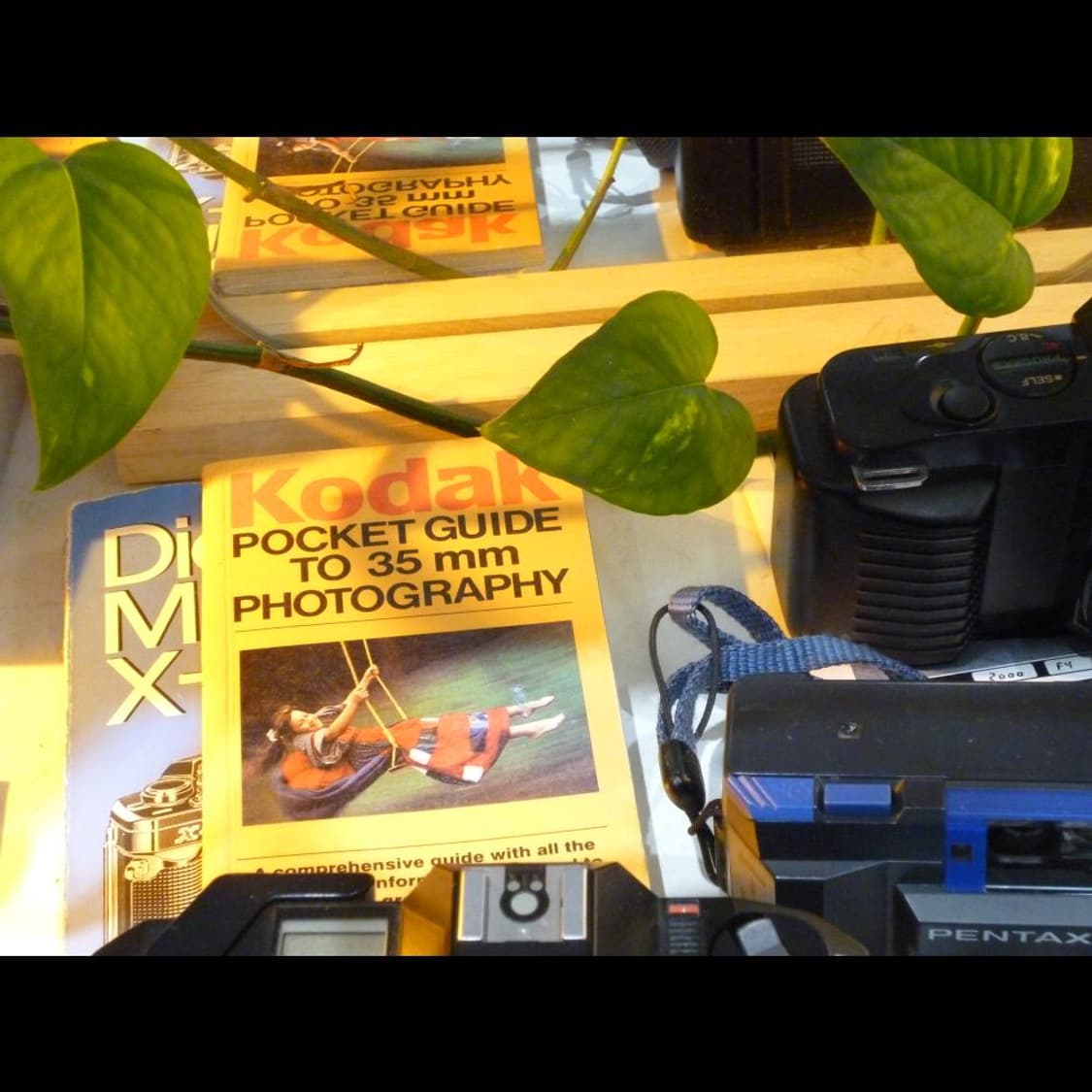 파나소닉 DSC-S1  파스텔 블루 소프트💎 빈티지 디카 디지털카메라 상품이미지3