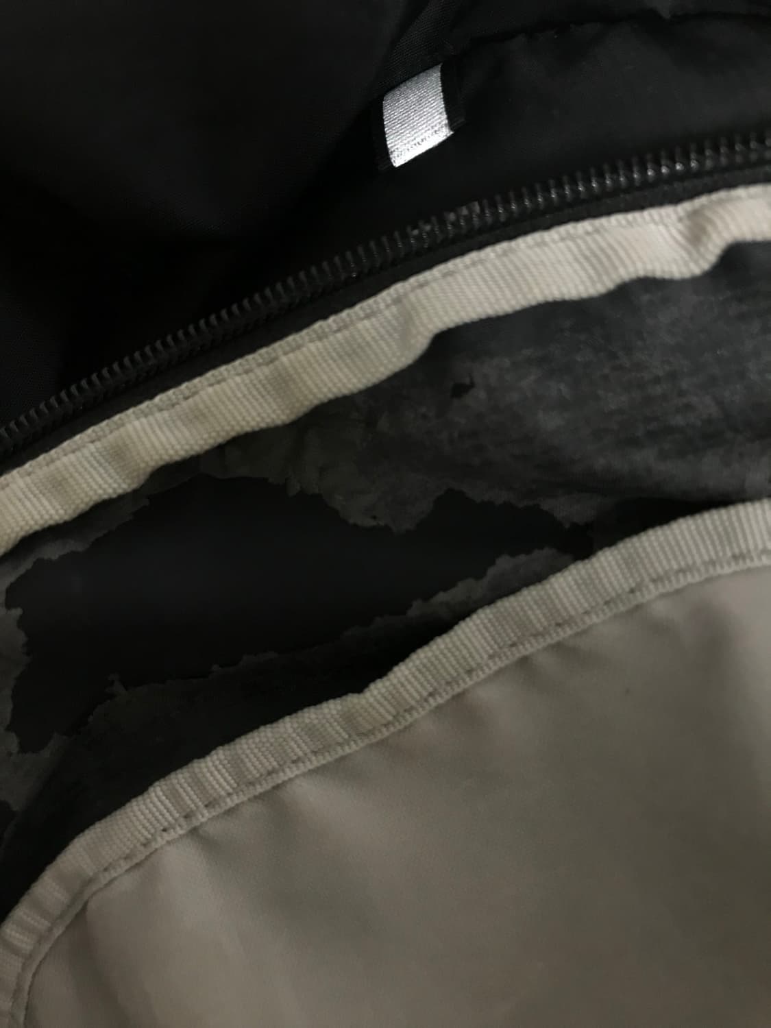 살로몬 트레일블레이저 20 블랙 상품이미지3