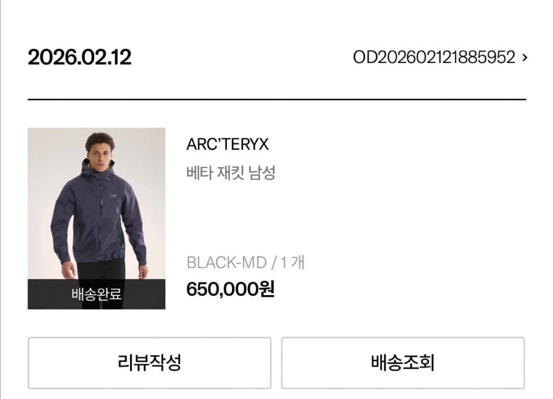 [M] 아크테릭스 베타 자켓 블랙 상품이미지5