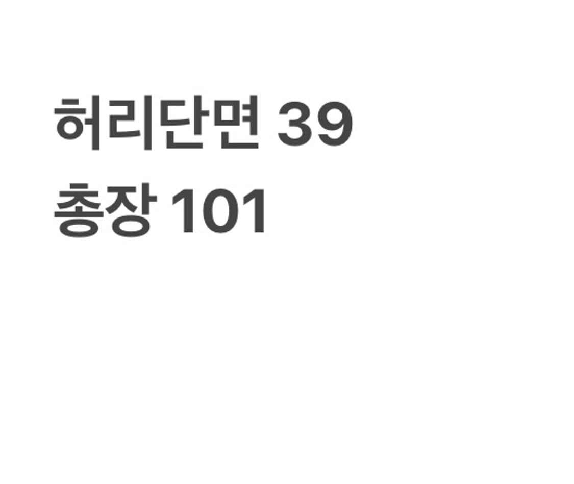 빈티지 버건디 밴딩 카고 팬츠 상품이미지6