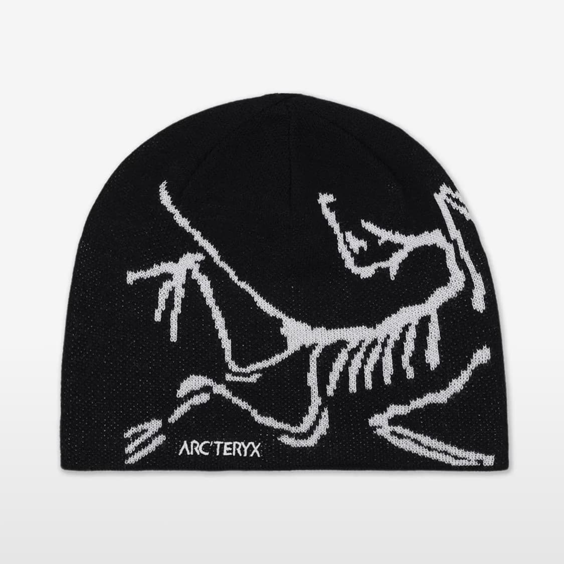 아크테릭스 버드 헤드 토크 비니 오르카 블랙 상품이미지1