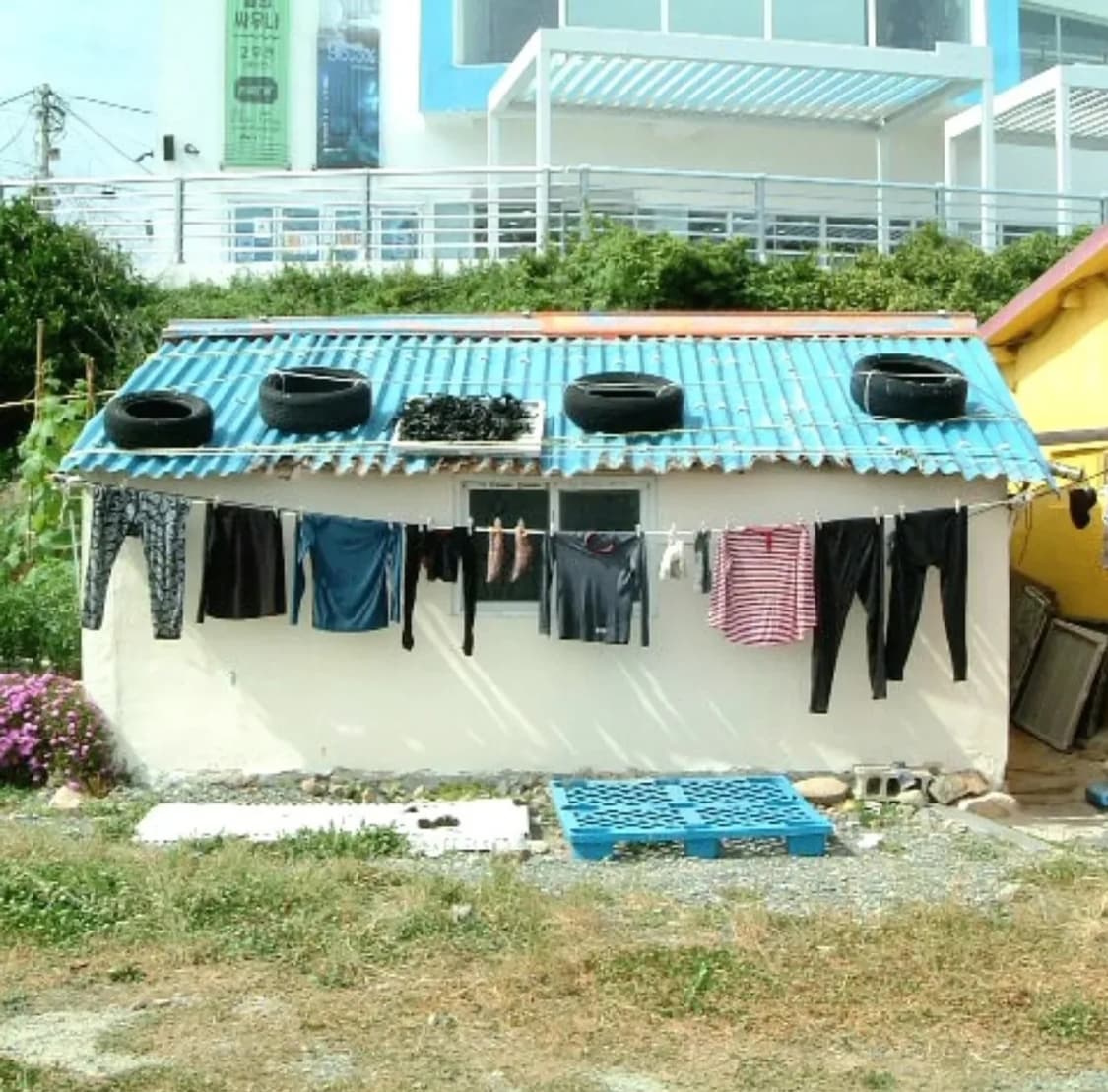 파인픽스f401 레트로 디카 상품이미지8