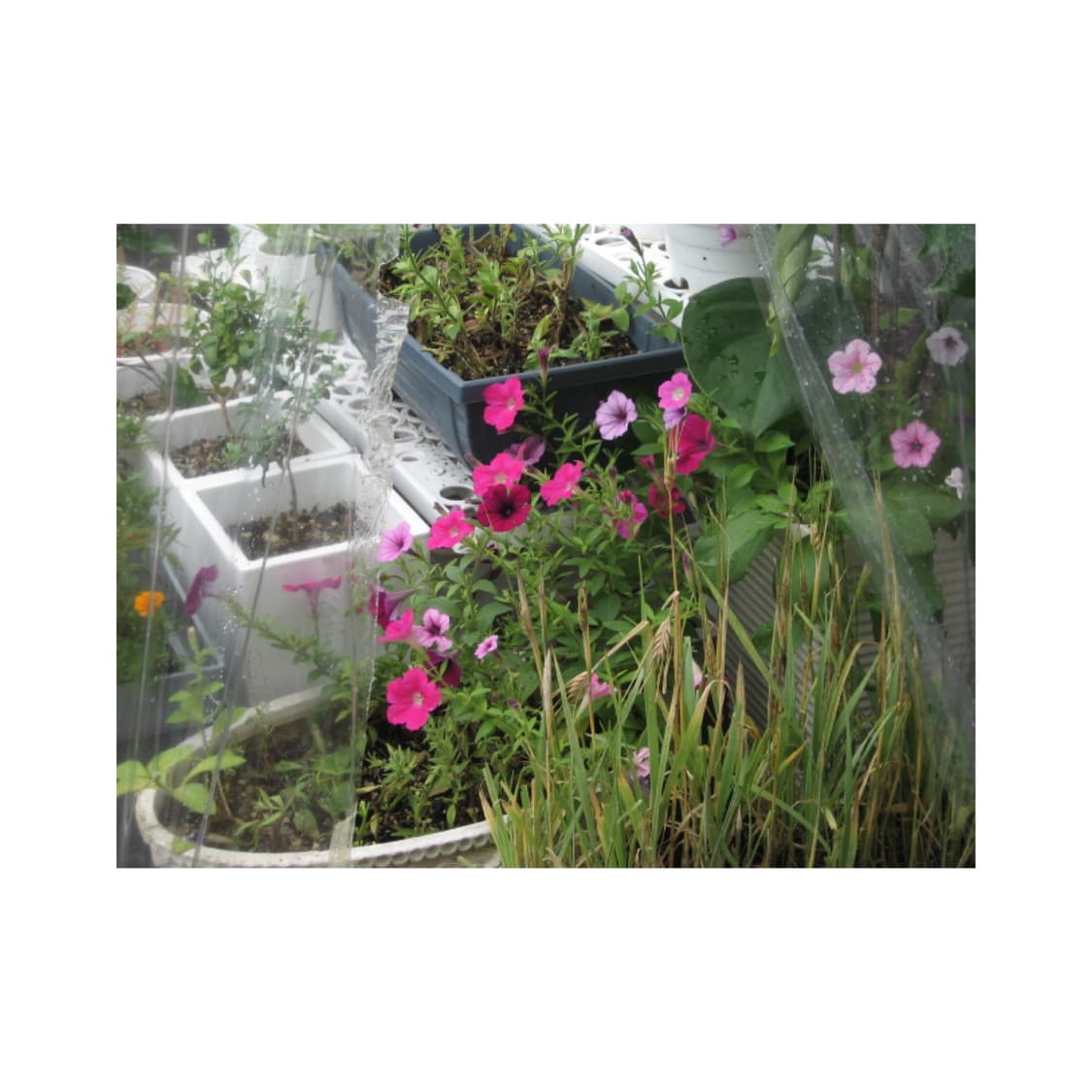 캐논 파워샷a530 디지털카메라 빈티지디카 상품이미지7