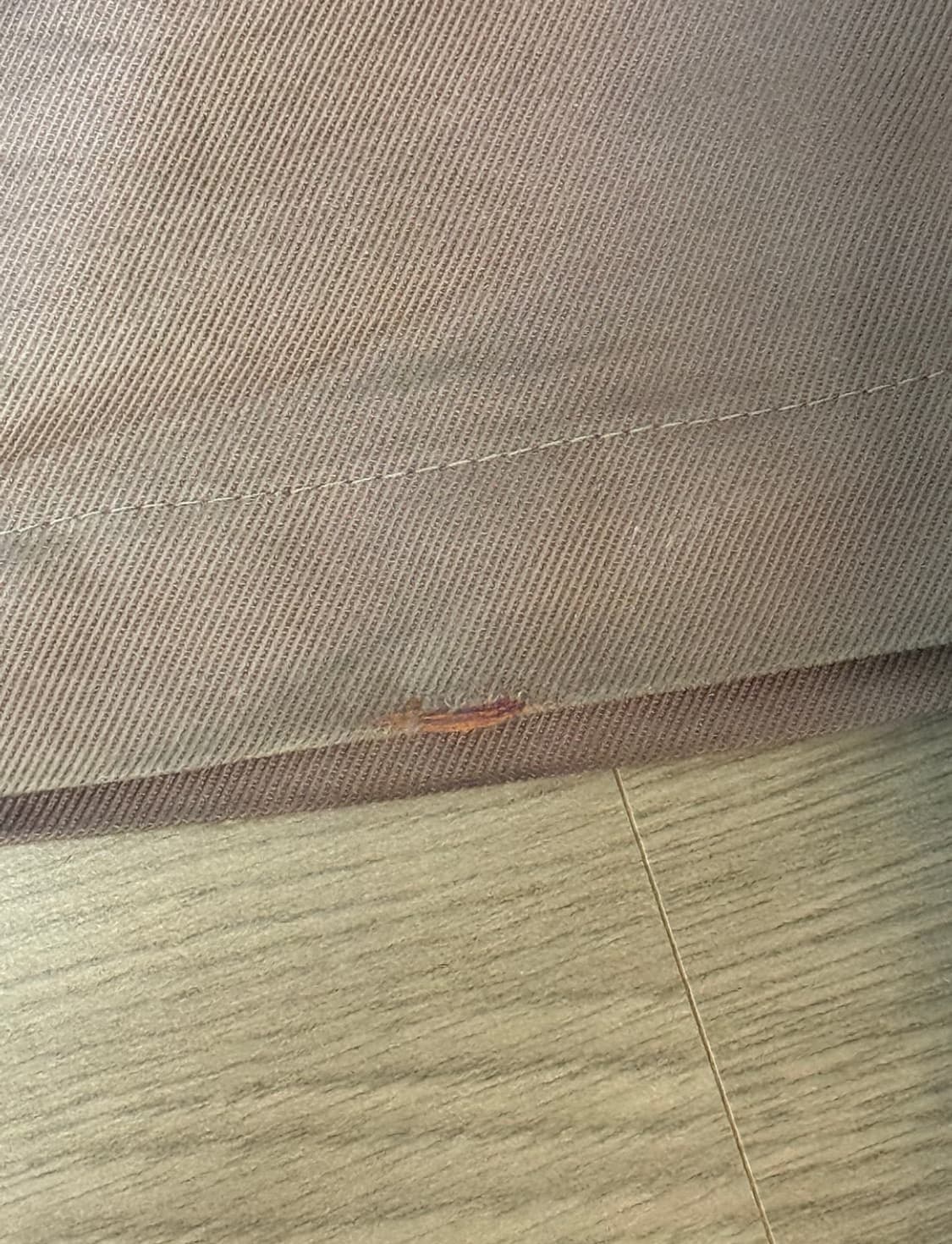 키코코스타디노브 맥나마라 팬츠 브라운 46 상품이미지5