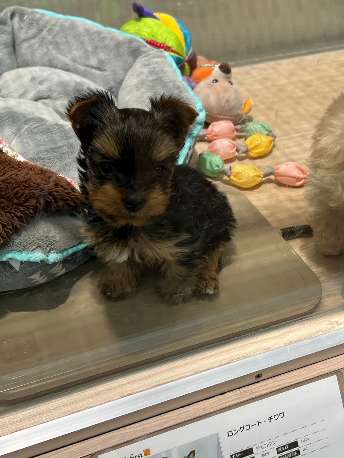 1만+2만원 할인 행사🛍️🚨 상품이미지1