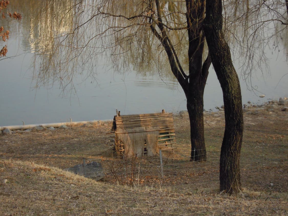 [민트급]니콘 쿨픽스 S640  딸기우유색 디카 작례🍓 상품이미지2