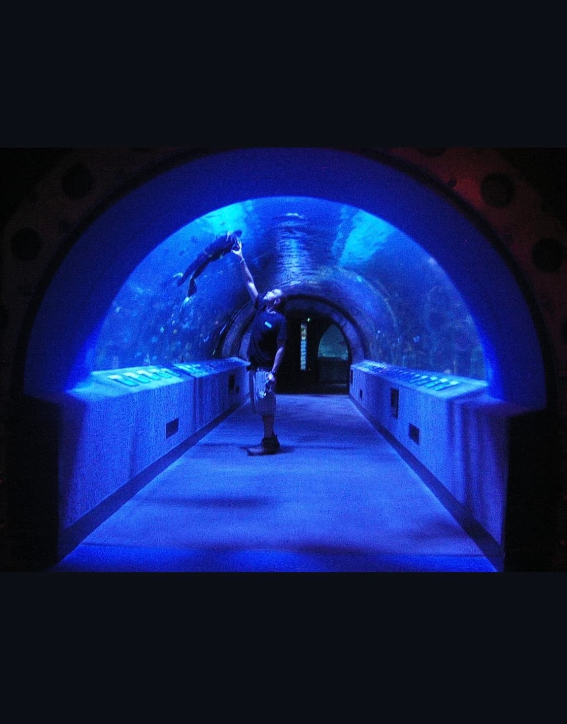 파나소닉 루믹스 dmc f7 디지털카메라 상품이미지8