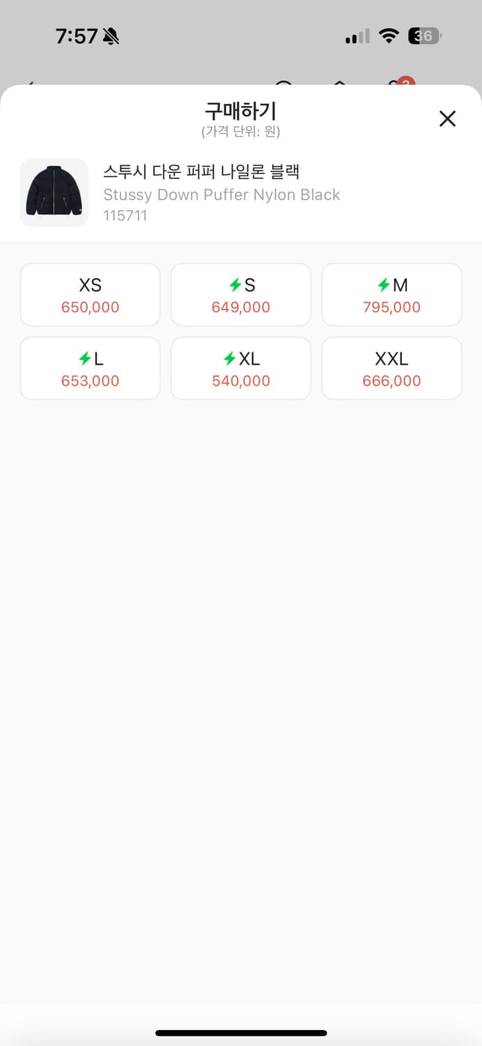 스투시 다운 퍼퍼 패딩 상품이미지3