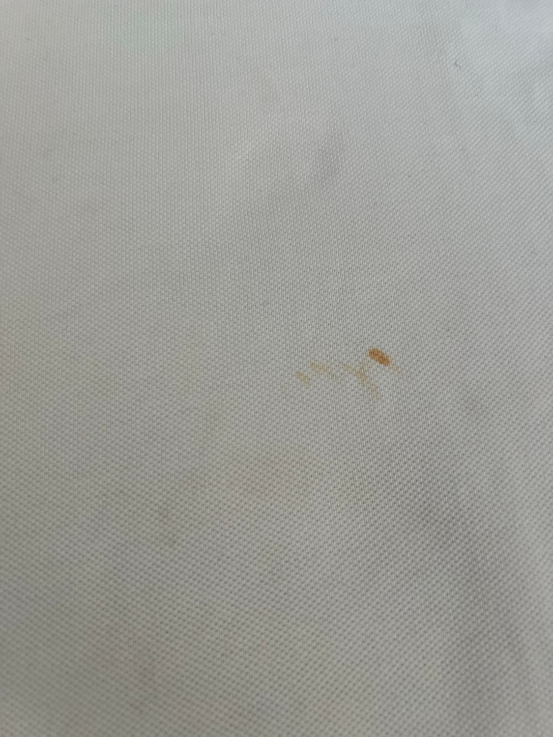 폴로 랄프로 재팬 사쿠라 에디션 상품이미지10