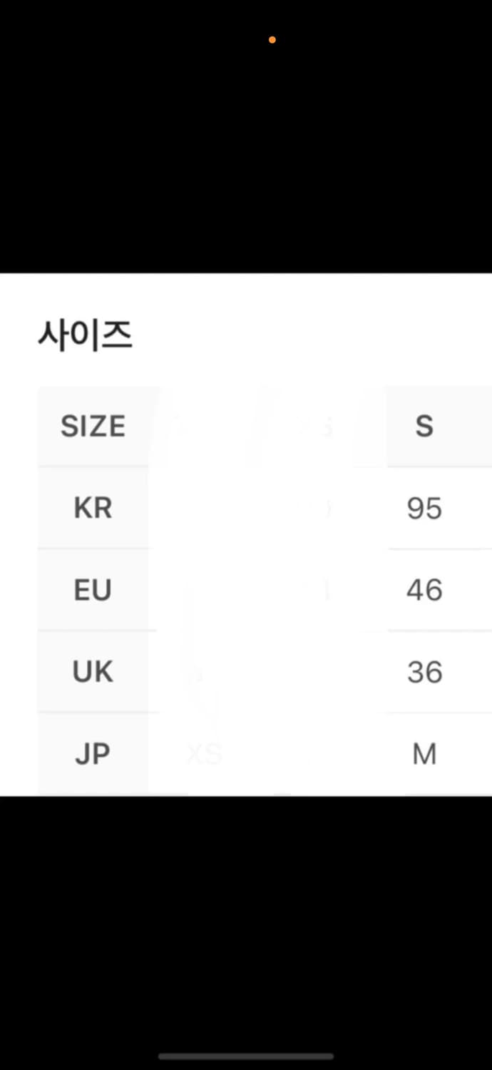 아크테릭스 sl후디 상품이미지3