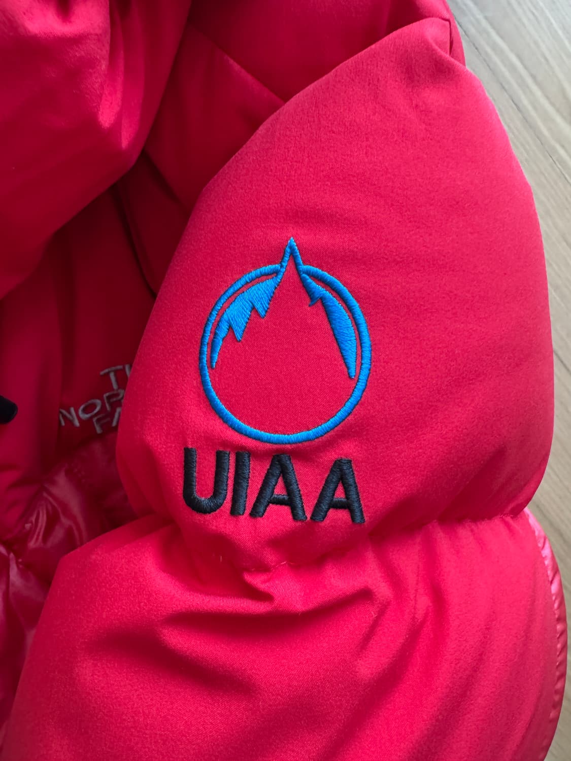 노스페이스 비아포 구스다운 상품이미지6