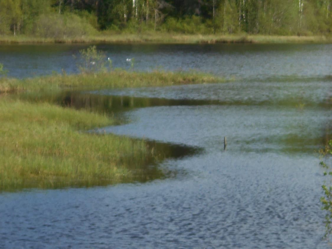 준민트✧･ﾟNikon Coolpix a100 니콘 쿨픽스 a100 디카 상품이미지2