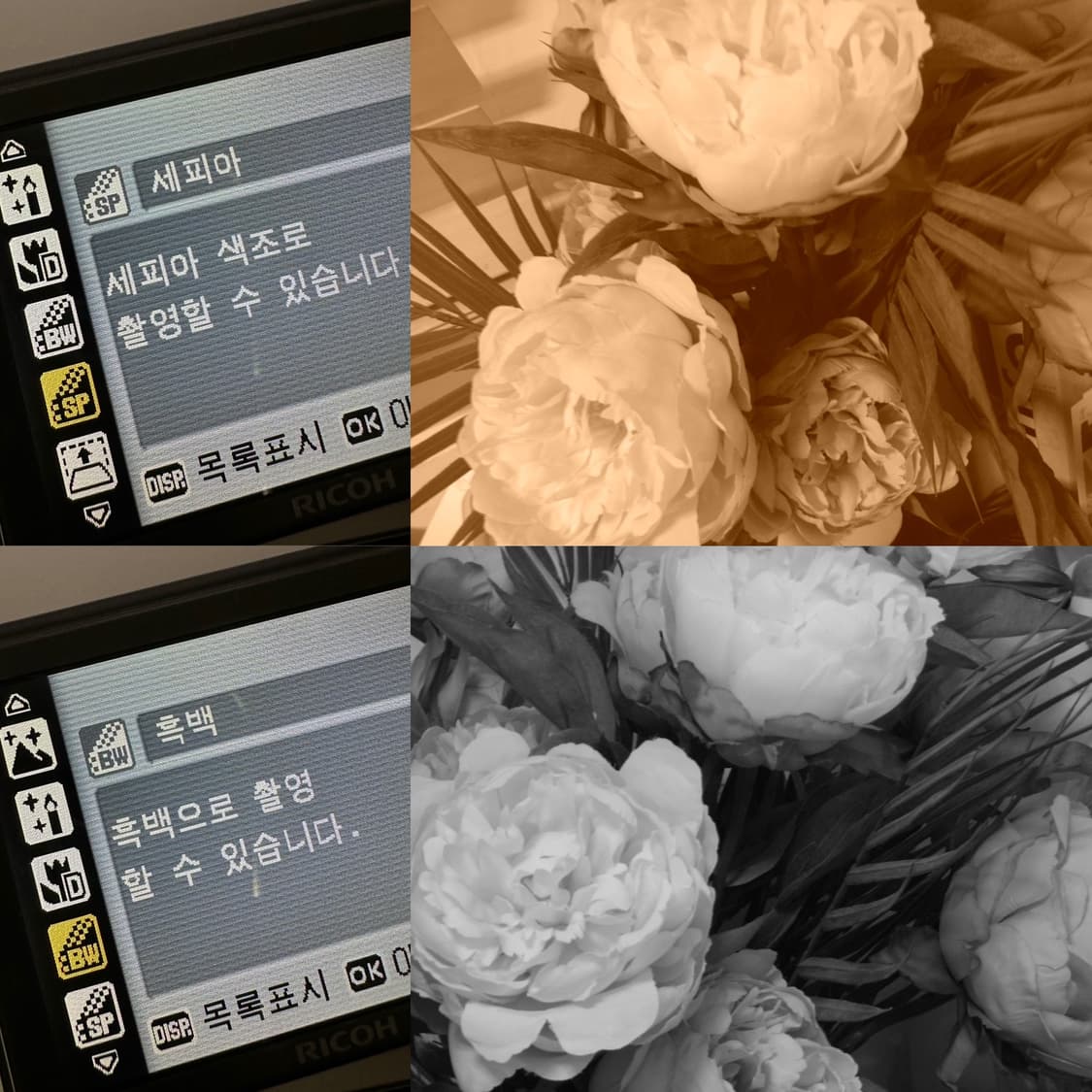 리코 카프리오 Ricoh Caplio R6 빈티지디카 실버 (작례) 상품이미지8