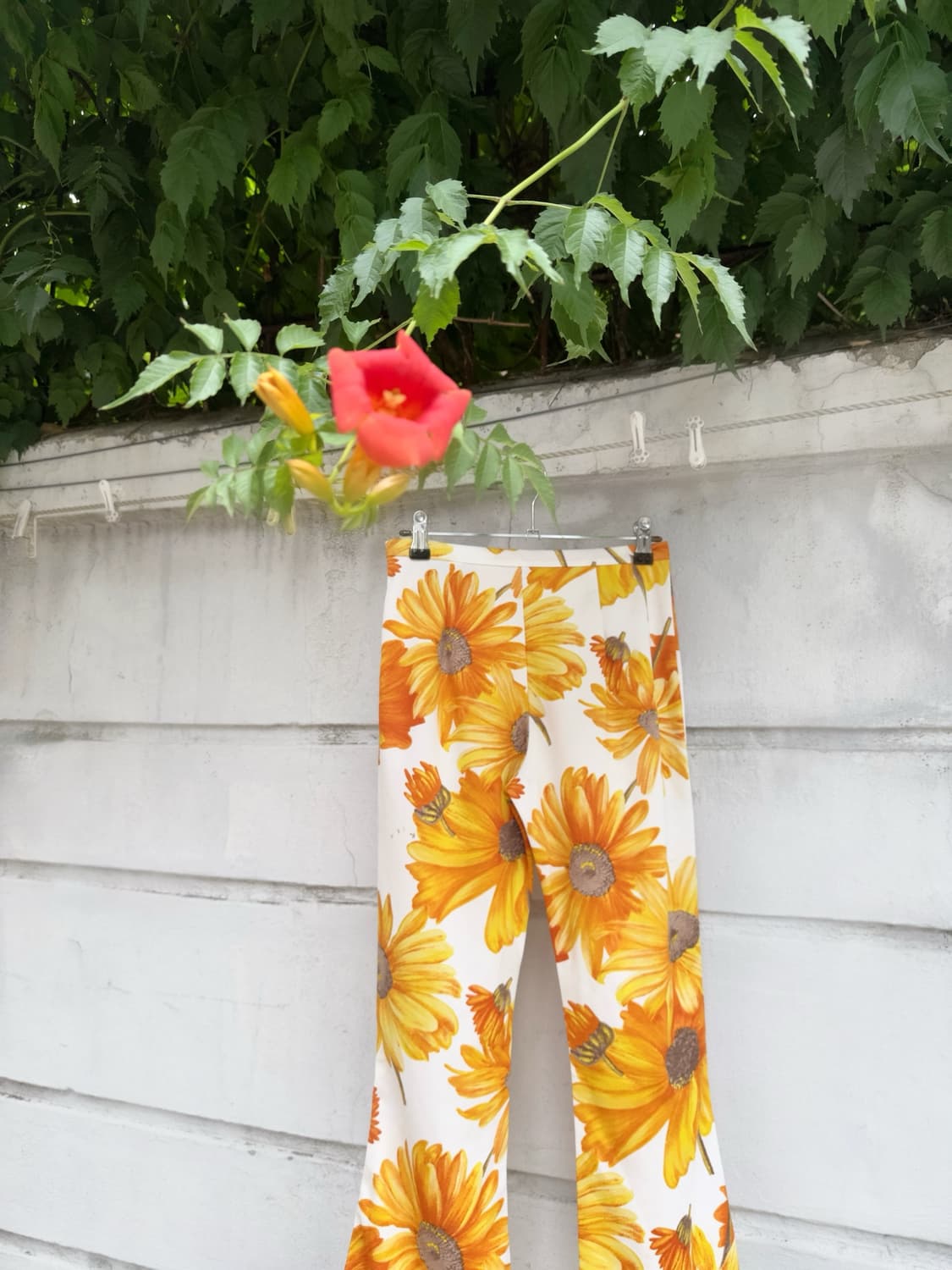 Sunflower tencel capri pants 상품이미지1