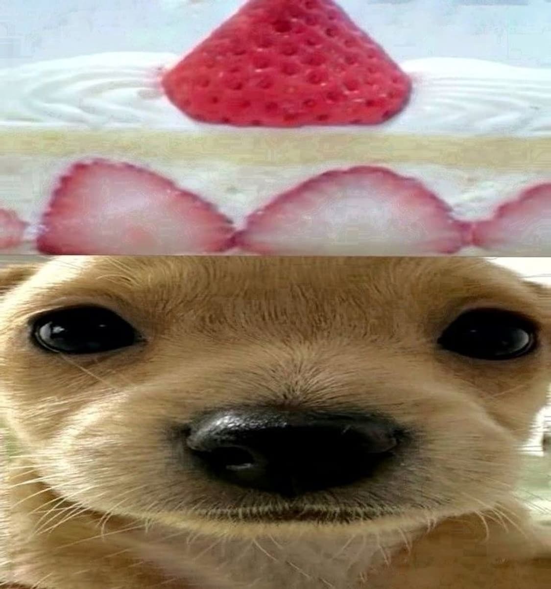 혜인서 결제창 상품이미지1