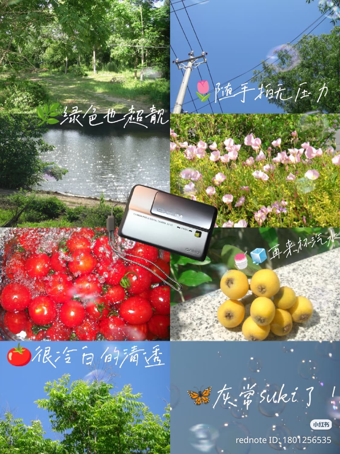 (작례O) Casio exilim EX-V8 상품이미지5