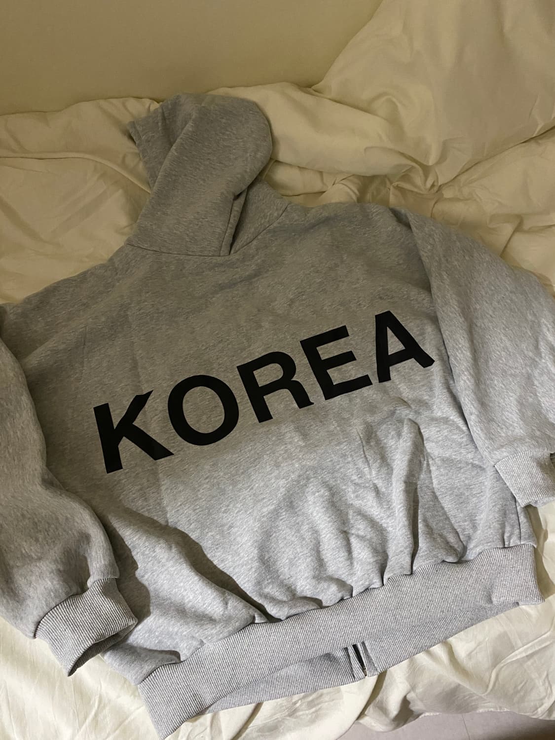 이지 HD-10 후드집업 상품이미지2