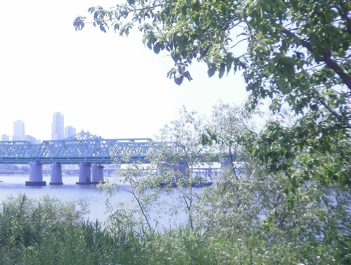 올림푸스 X-920 디지털 카메라 상품이미지3