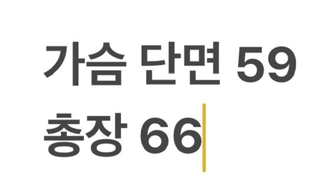 [정품/100] 디스커버리 아이보리 경량 패딩 b14 상품이미지7
