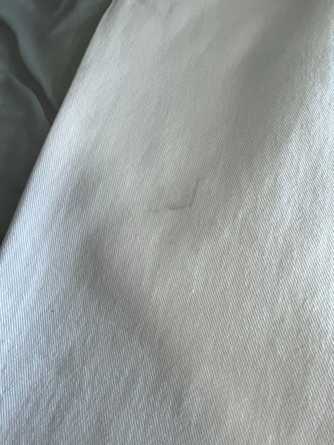 L) 라브로스 데이지 진 화이트 상품이미지4