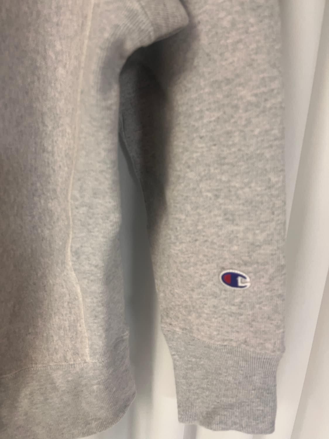 챔피온 리버스위브 일본판 (100) 상품이미지7