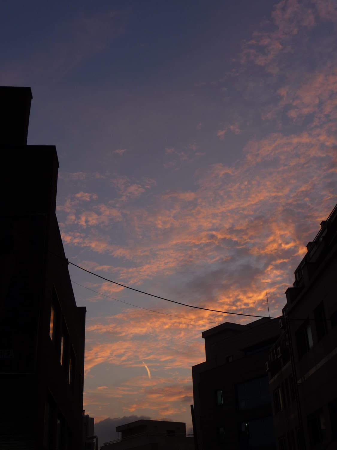 [라이카 렌즈] 파나소닉 루믹스 Panasonic dmc TZ5 디카 상품이미지4