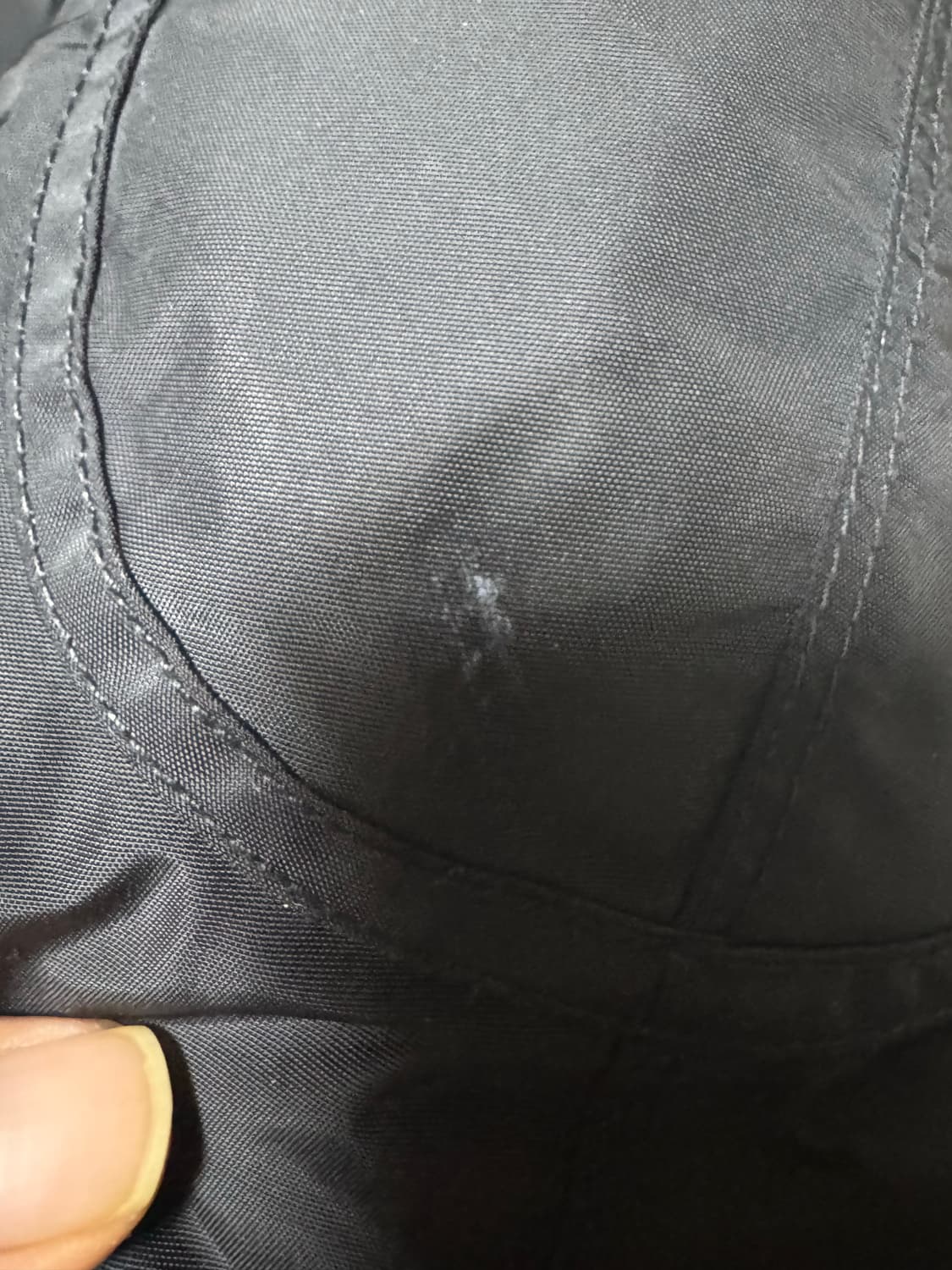 파라점퍼스고비마스터피스 라지사이즈 상품이미지8