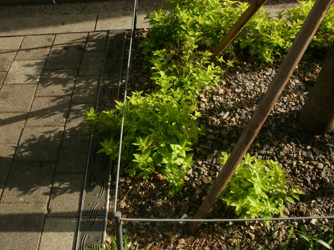 올림푸스 FE-46디카 상품이미지8